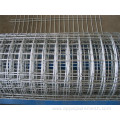 Wholesale Galvanized Welded Iron Wire Mesh For Agriculture